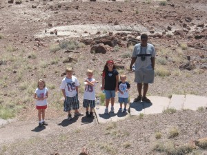 petrified forest